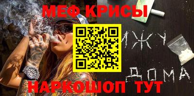 гашик Кингисепп