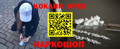 гашик Кингисепп