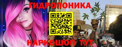 Альфа ПВП Кимры