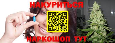 гашик Кингисепп
