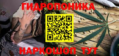 Альфа ПВП Кимры