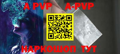 гашик Кингисепп