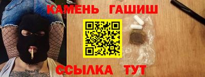 гашик Кингисепп