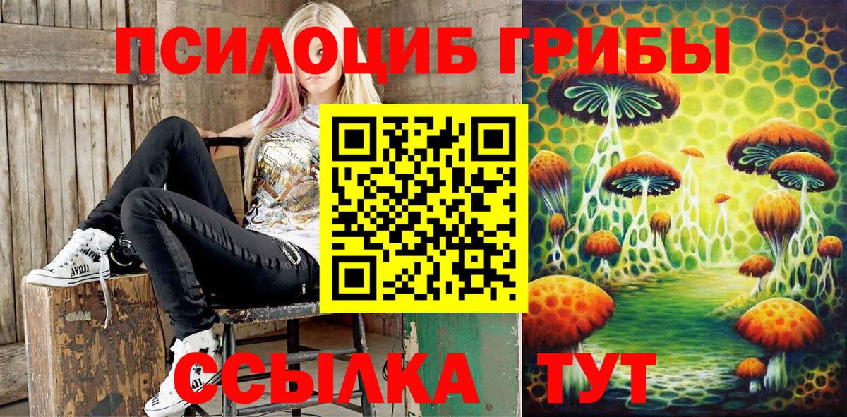 Галлюциногенные грибы Psilocybine cubensis  Галлюциногенные грибы ЛСД  Вход с VPN  Кунгур 
