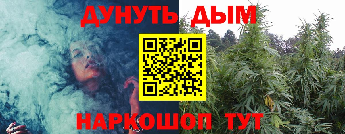 Кунгур  Канабис сатива  Конопля AK-47  Вход с VPN  Шишки марихуана сатива 